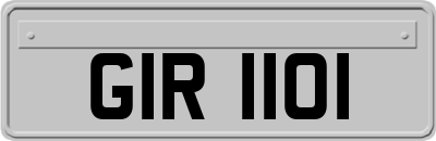 GIR1101