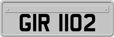 GIR1102