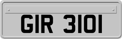 GIR3101