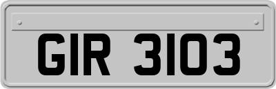 GIR3103