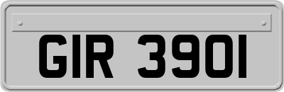 GIR3901