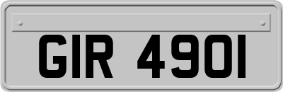 GIR4901