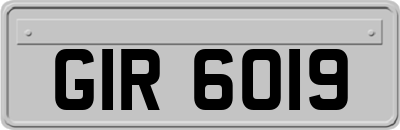 GIR6019