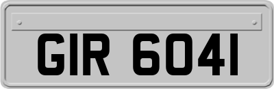 GIR6041