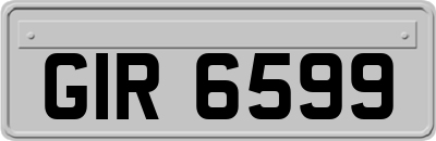 GIR6599