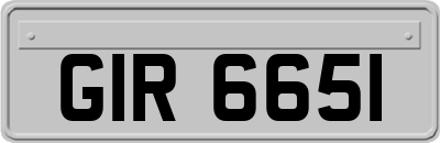 GIR6651