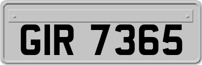 GIR7365