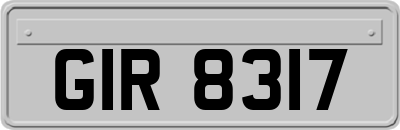 GIR8317