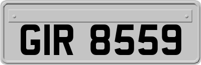 GIR8559
