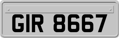 GIR8667