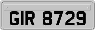 GIR8729
