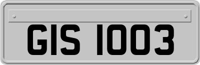 GIS1003