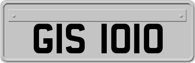 GIS1010