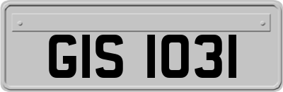 GIS1031