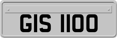 GIS1100