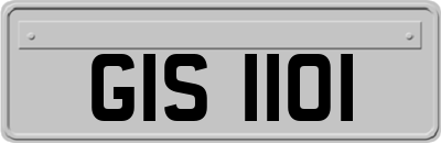GIS1101