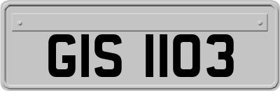 GIS1103