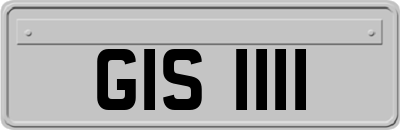 GIS1111
