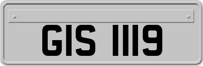 GIS1119