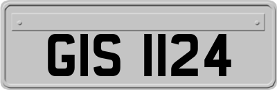GIS1124