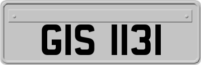 GIS1131