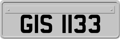 GIS1133