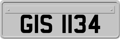 GIS1134