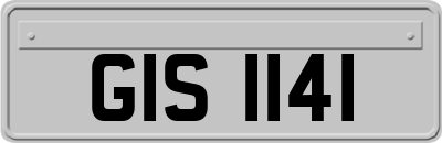 GIS1141