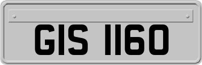 GIS1160