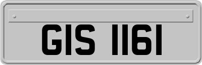 GIS1161