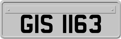 GIS1163