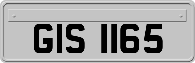 GIS1165