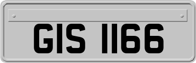 GIS1166