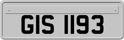 GIS1193