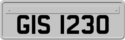 GIS1230