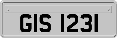 GIS1231