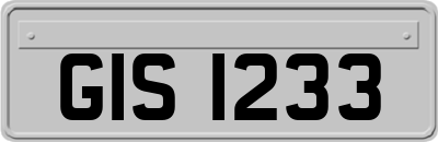 GIS1233