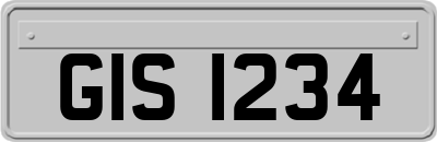 GIS1234