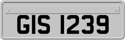 GIS1239