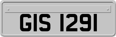 GIS1291