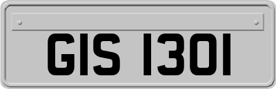 GIS1301