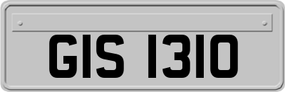 GIS1310