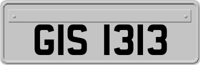 GIS1313