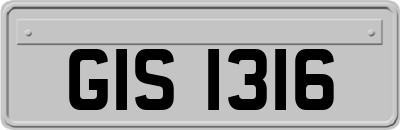 GIS1316