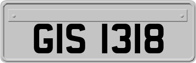 GIS1318