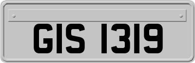 GIS1319