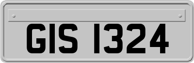 GIS1324