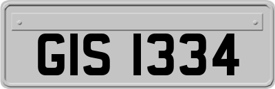GIS1334
