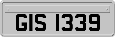 GIS1339