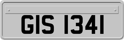 GIS1341
